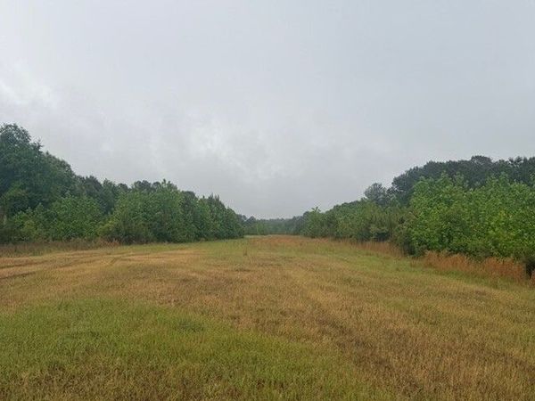145 +/- ACRES George Smith Road, Talbotton, GA 31827