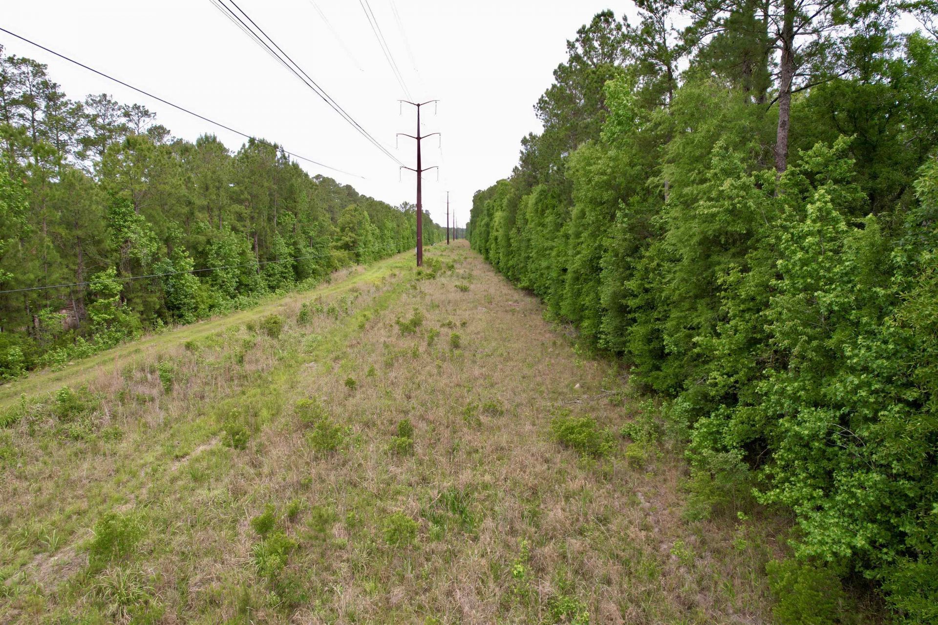 Tract A Pennyroyal Rd.  Photo 11