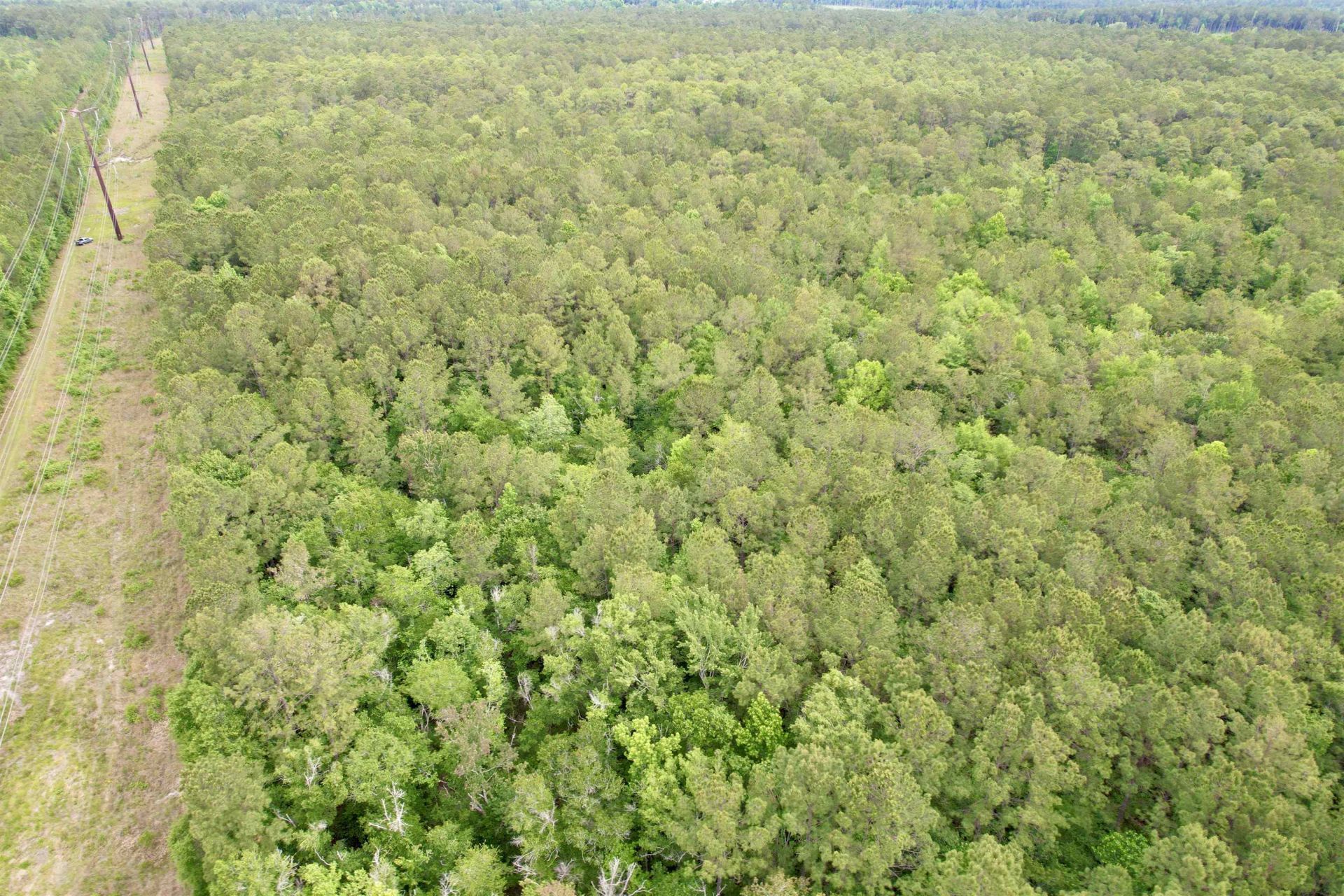 Tract A Pennyroyal Rd.  Photo 12