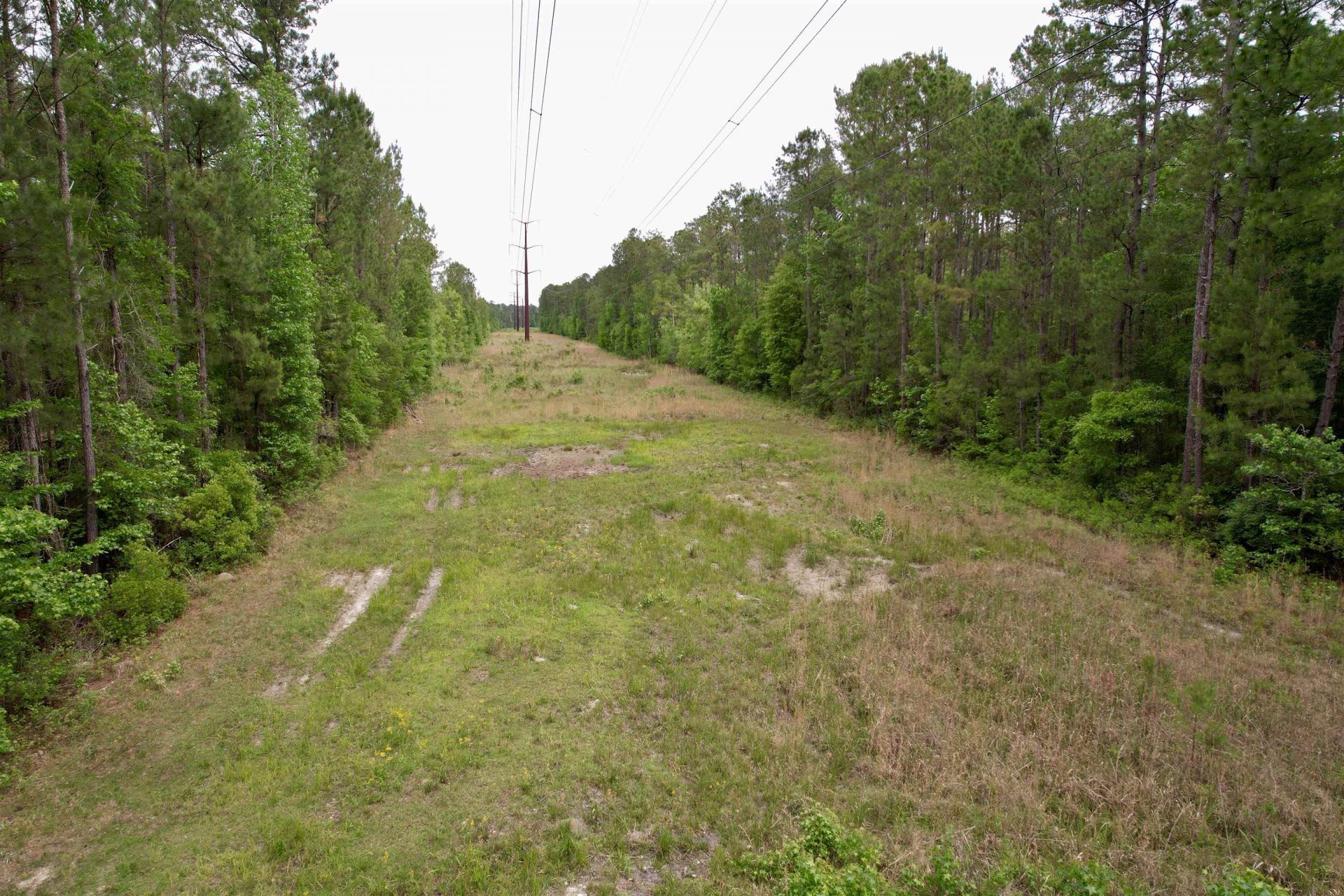 Tract A Pennyroyal Rd.  Photo 14