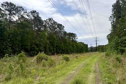 Tract A Pennyroyal Rd.  photo 4