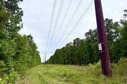 Tract A Pennyroyal Rd.  photo 4