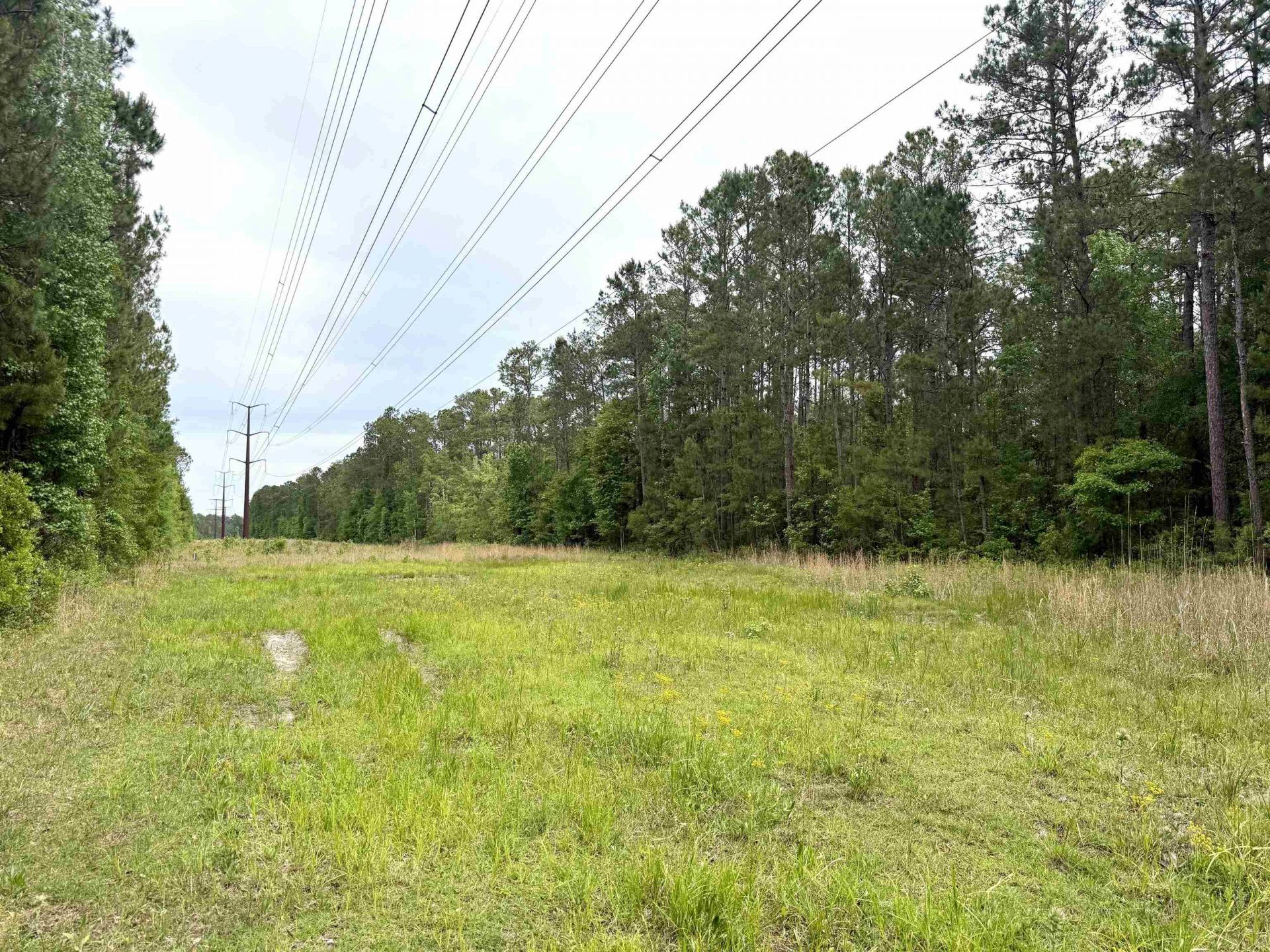 Tract A Pennyroyal Rd.  Photo 4