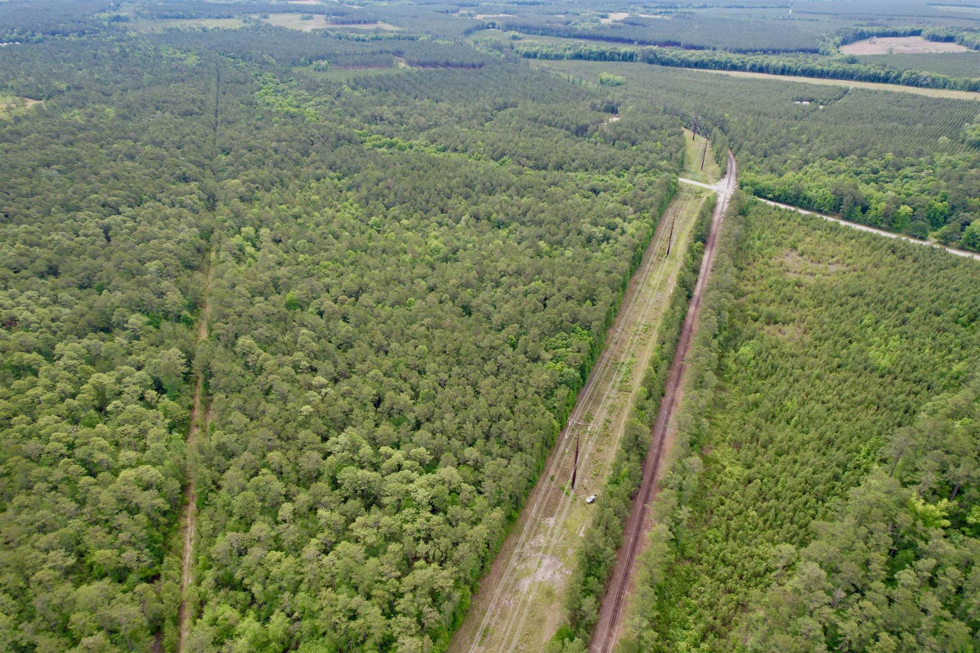 Tract A Pennyroyal Rd.  Photo 6