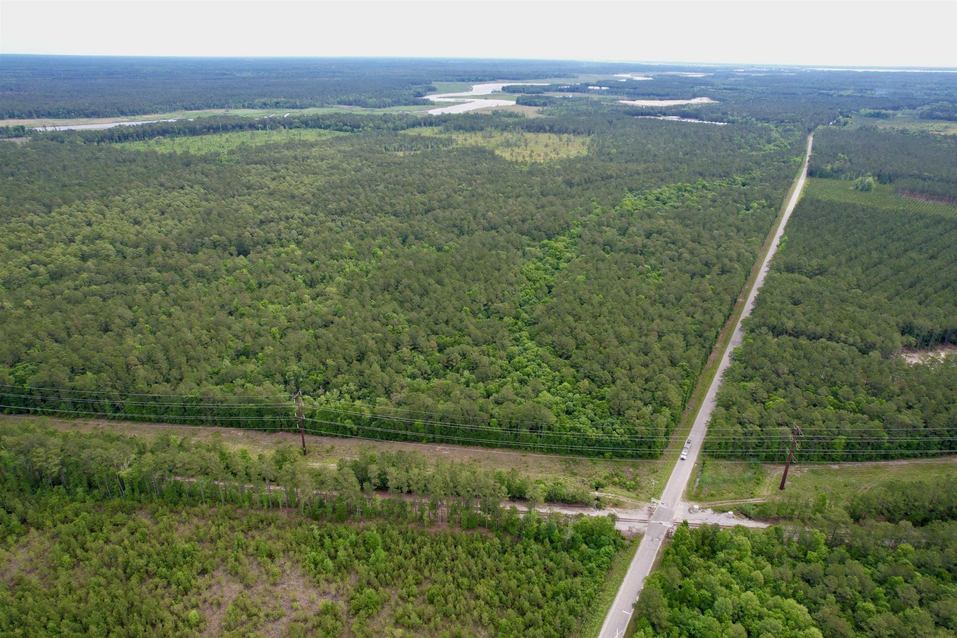 Tract A Pennyroyal Rd.  Photo 8