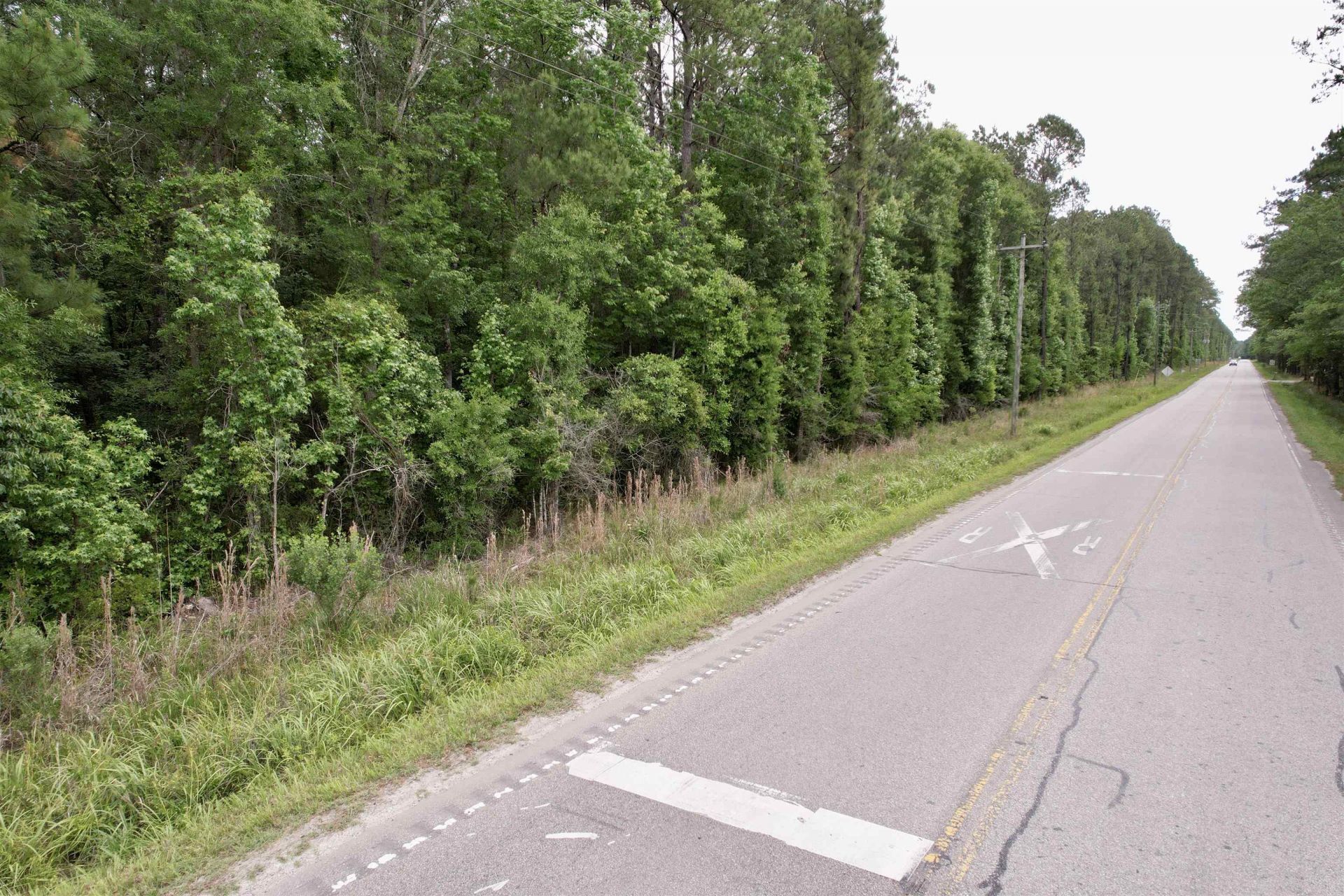Tract A Pennyroyal Rd.  Photo 9