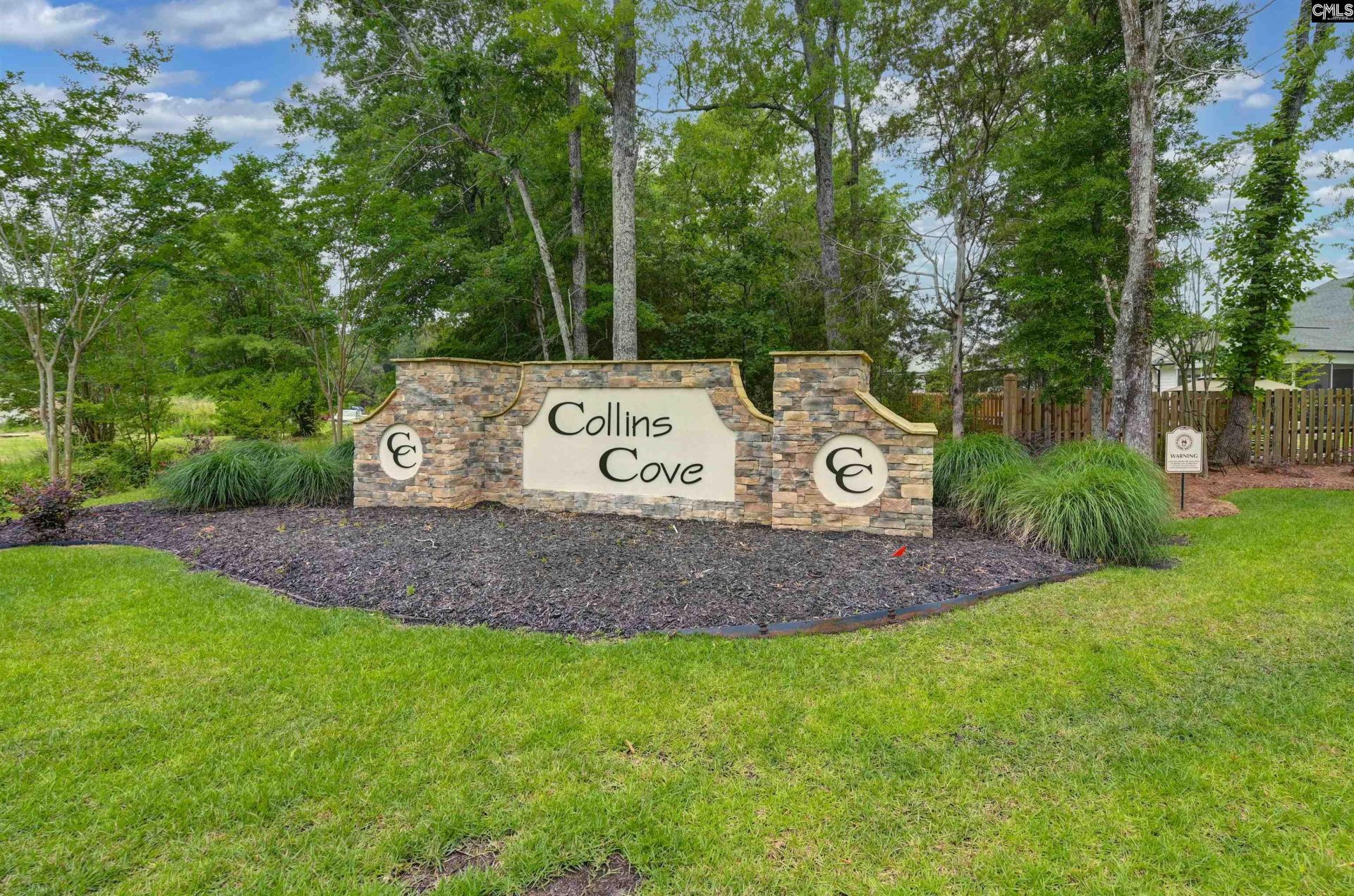 191 Collins Cove Drive  Photo 55