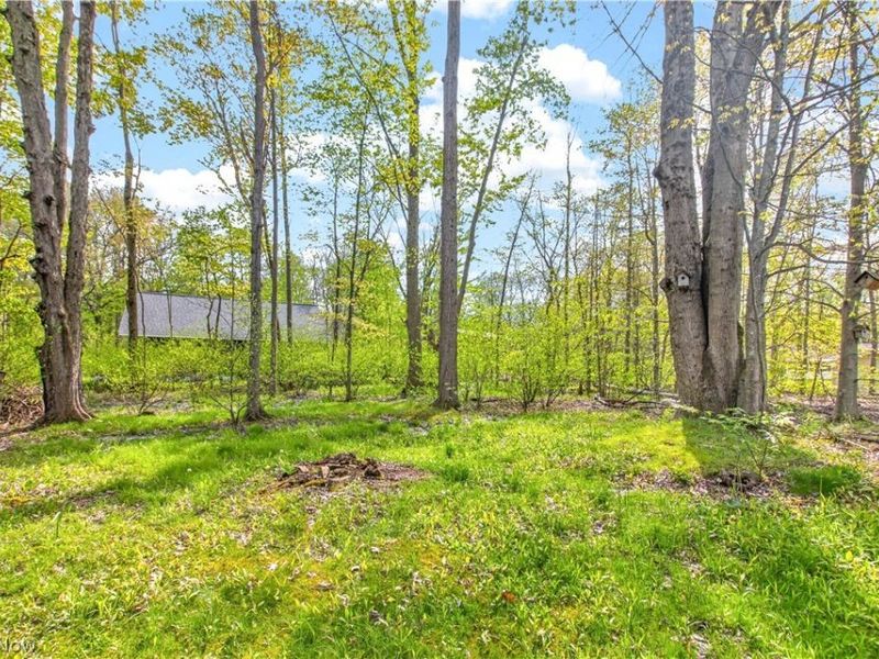 12808 Wellswood Trail, Chesterland, OH 44026 Photo 34