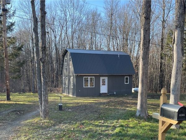 10315 Blakley Road , Swain, NY 14884