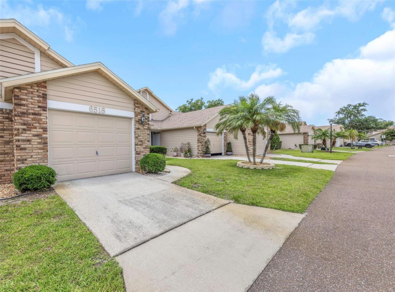 6518 Thicket Trail, New Port Richey, FL 34653 Photo