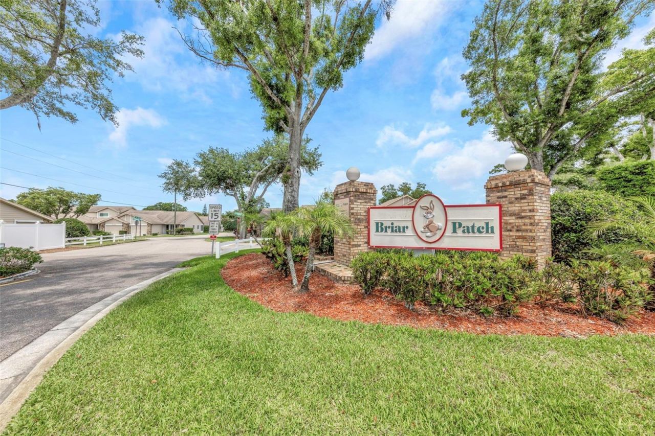 6518 Thicket Trail, New Port Richey, FL 34653 Photo