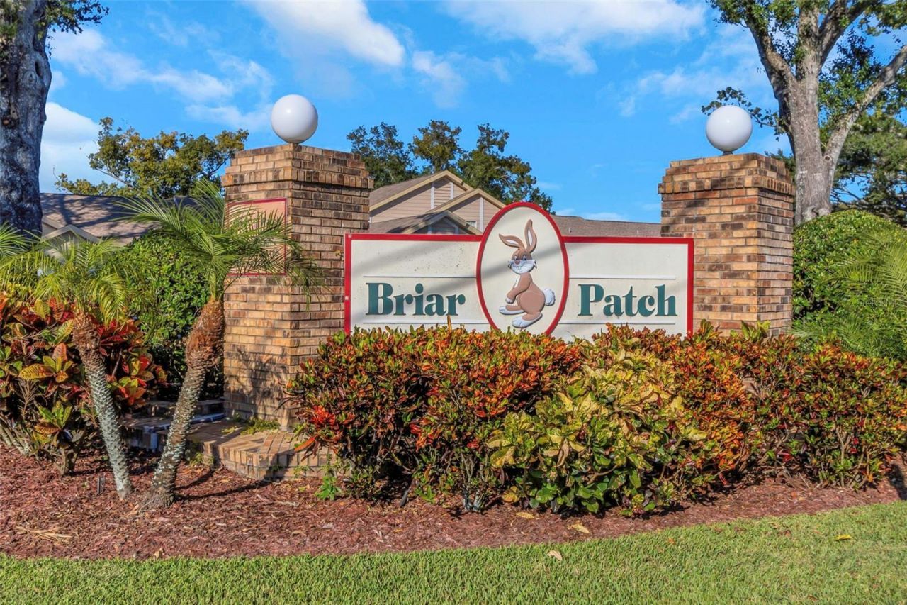 6518 Thicket Trail, New Port Richey, FL 34653 Photo