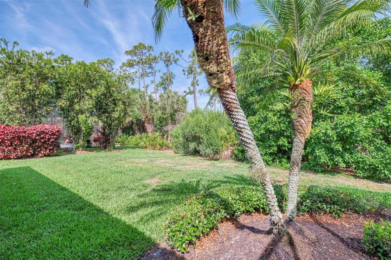 763 Egret Walk Lane, Venice, FL 34292 Photo