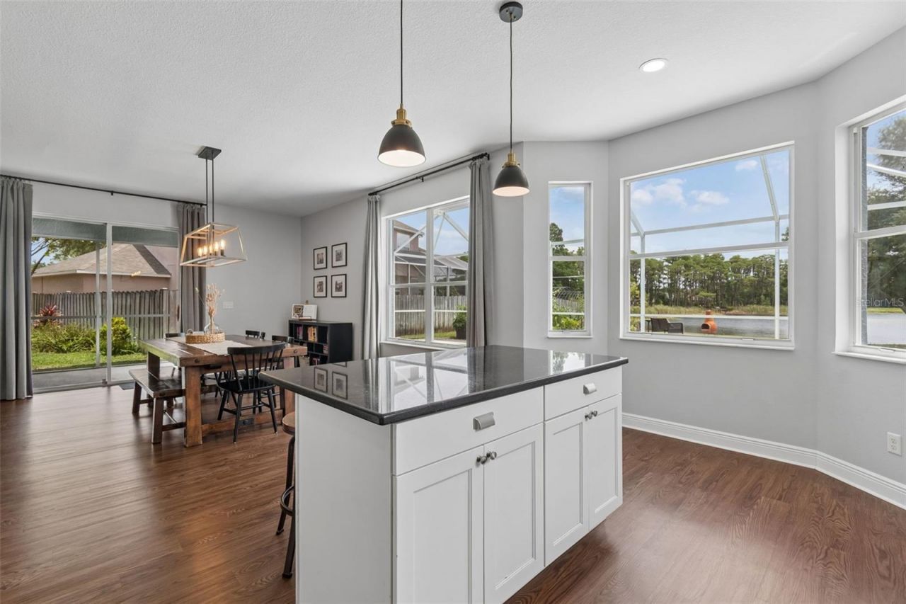 1324 Brooke View Drive, Odessa, FL 33556 Photo