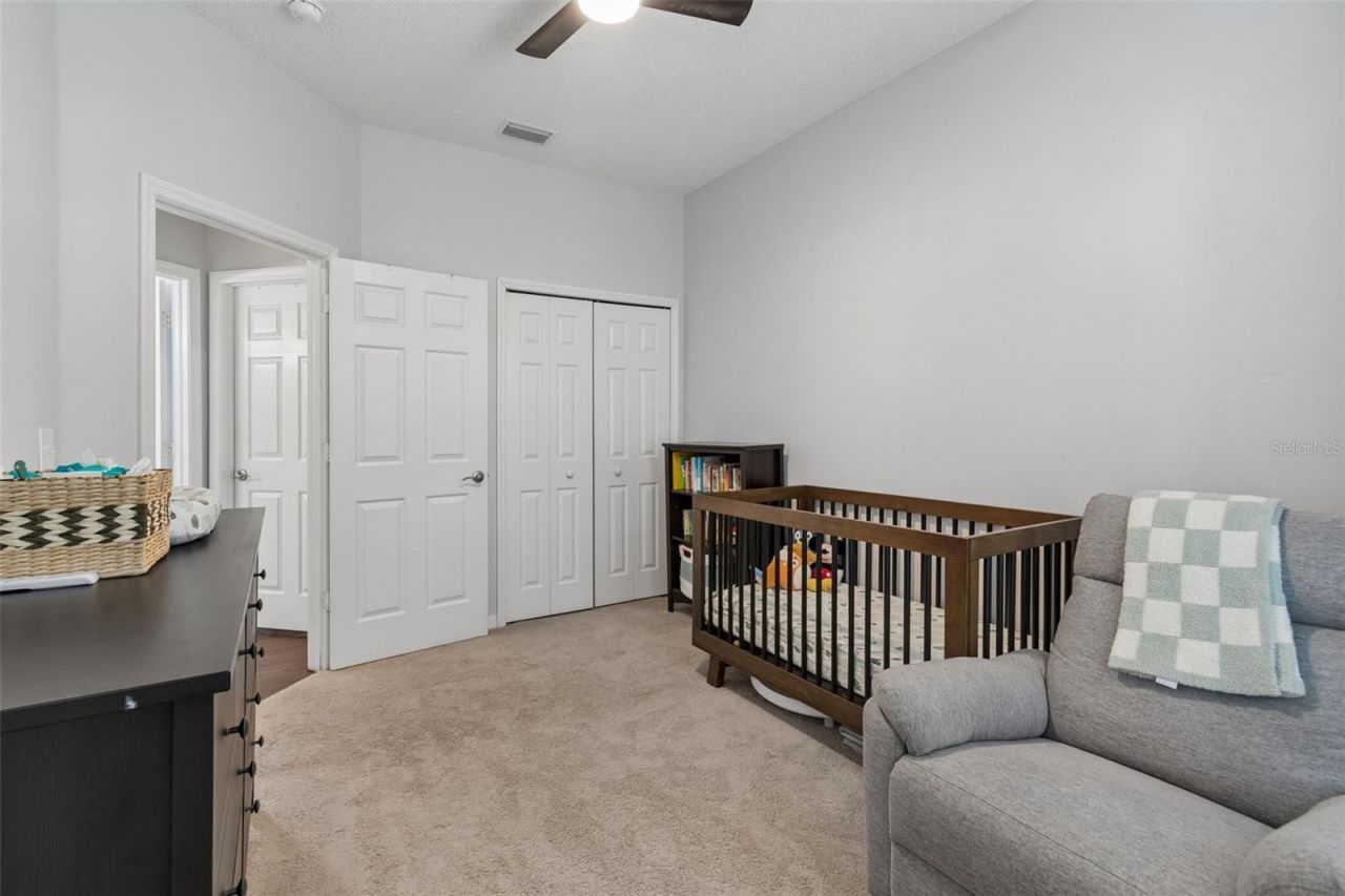 1324 Brooke View Drive, Odessa, FL 33556 Photo