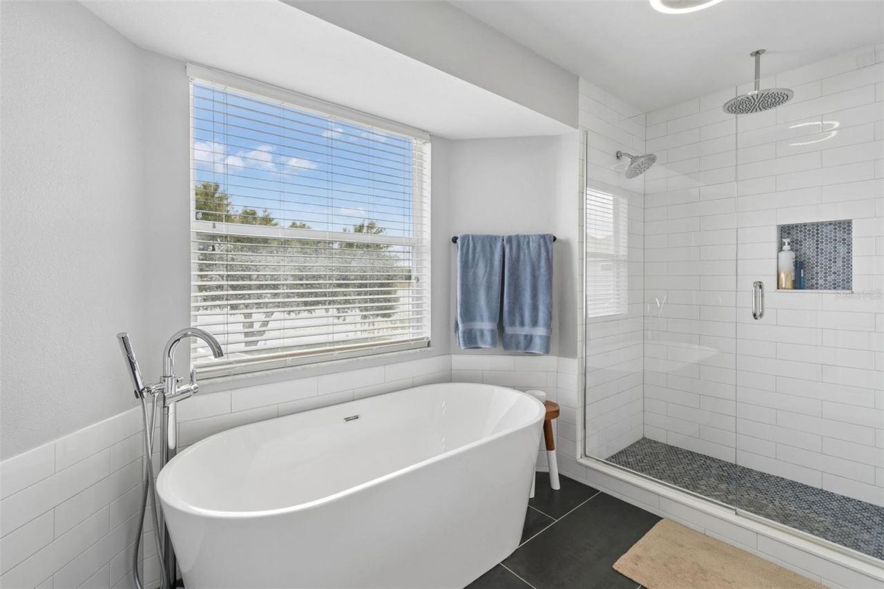 1324 Brooke View Drive, Odessa, FL 33556 Photo