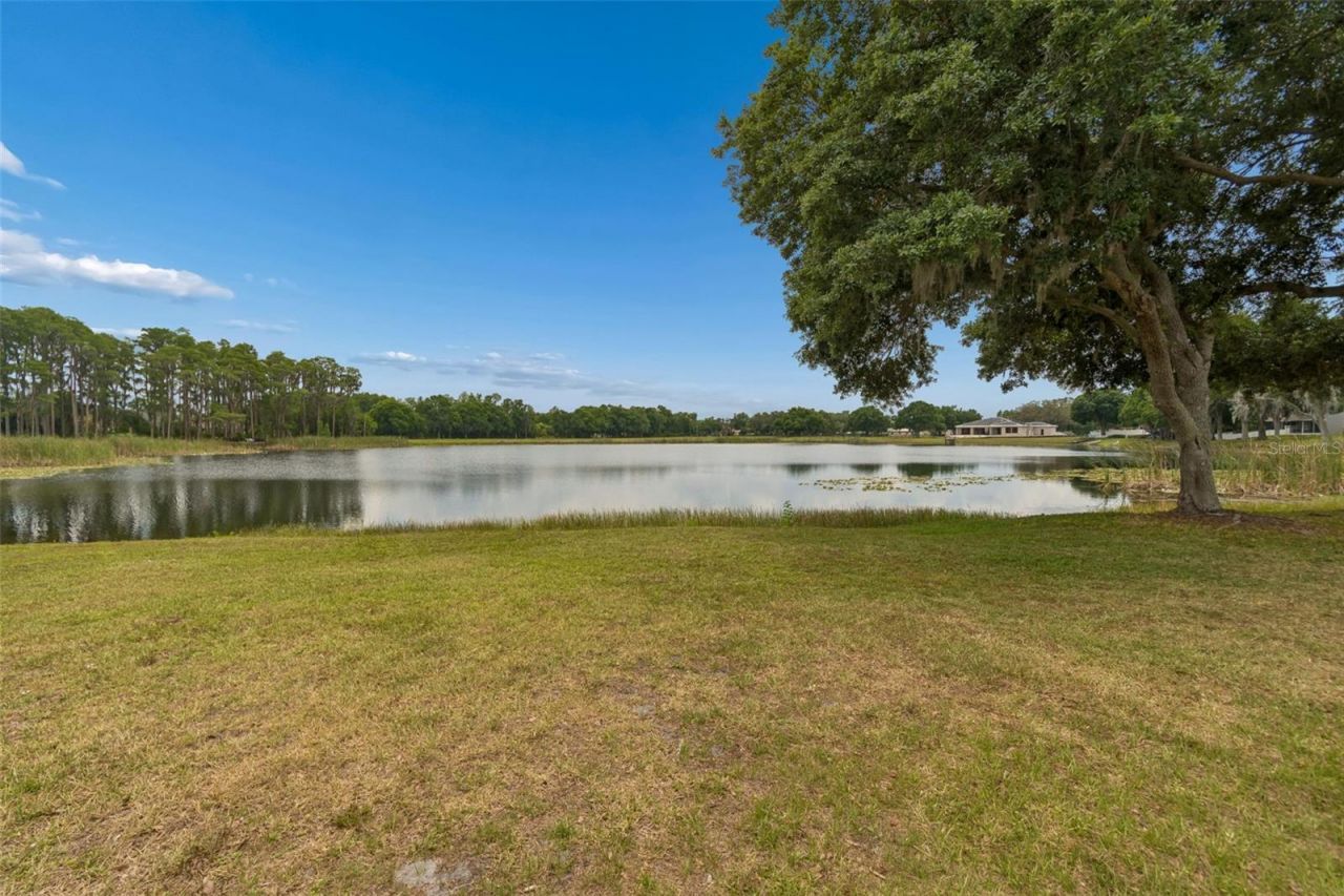 1324 Brooke View Drive, Odessa, FL 33556 Photo