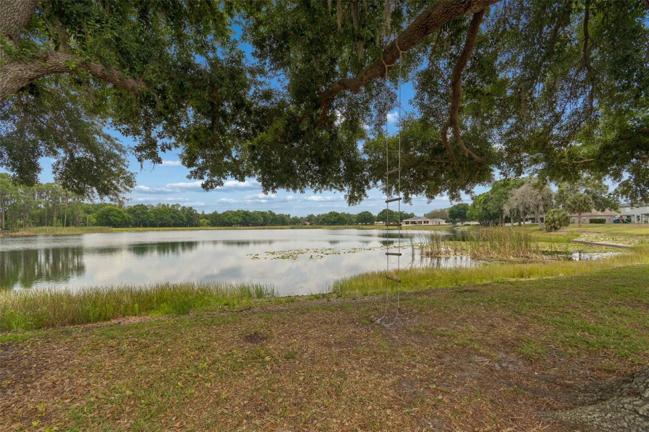 1324 Brooke View Drive, Odessa, FL 33556 Photo