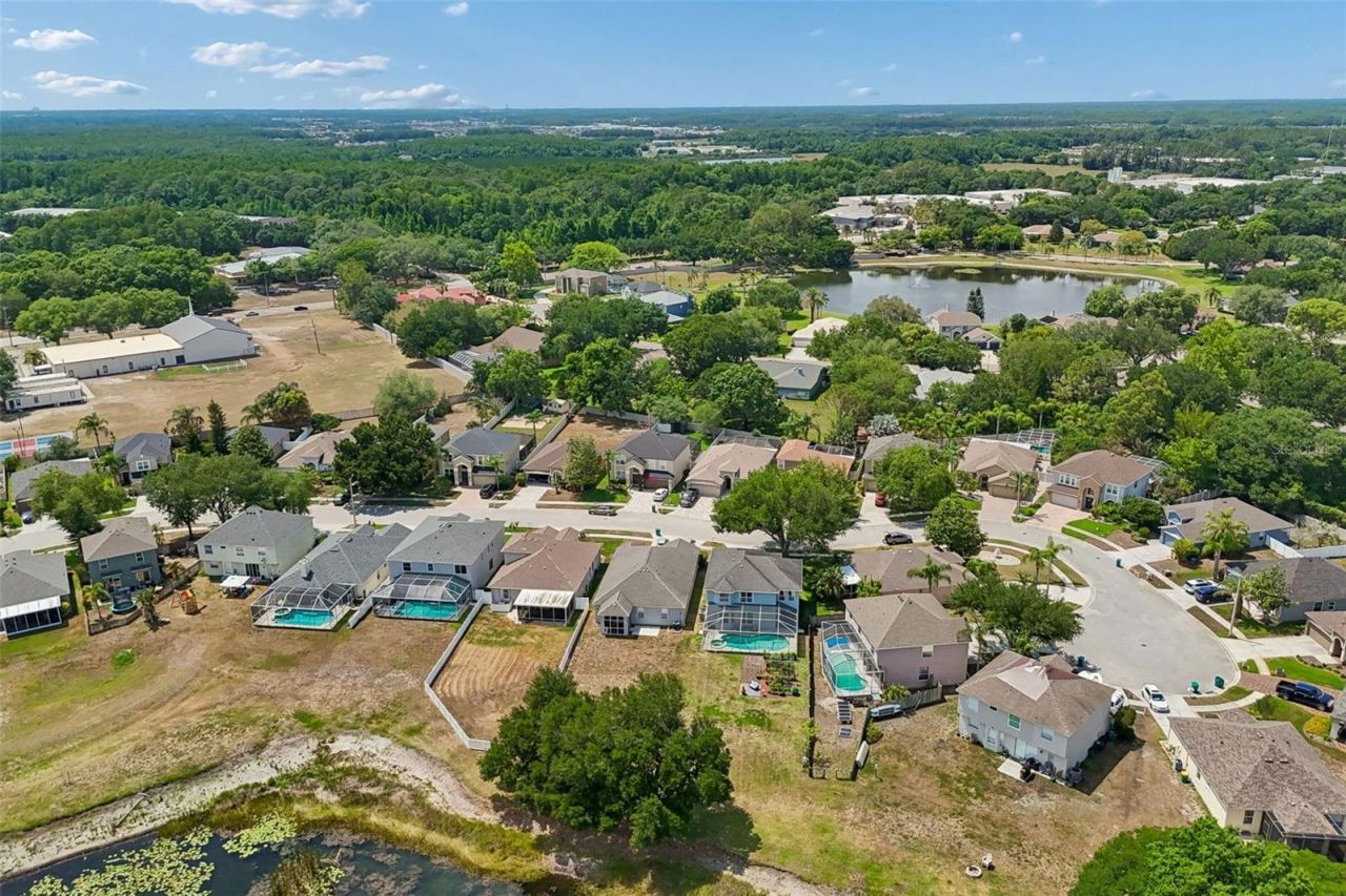 1324 Brooke View Drive, Odessa, FL 33556 Photo