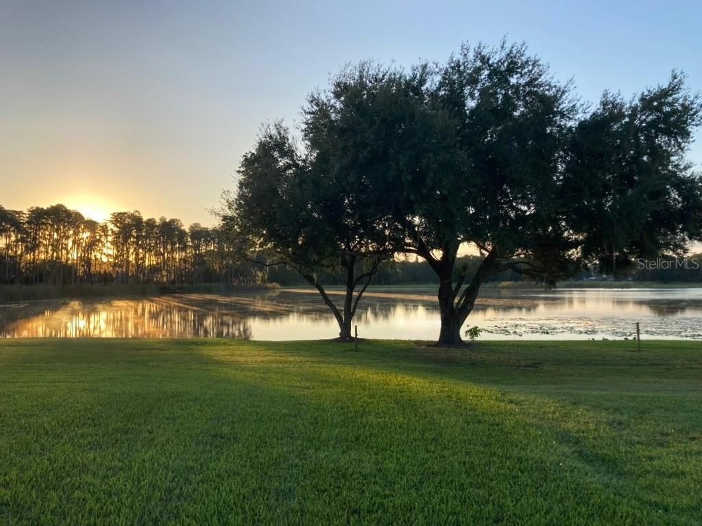 1324 Brooke View Drive, Odessa, FL 33556 Photo