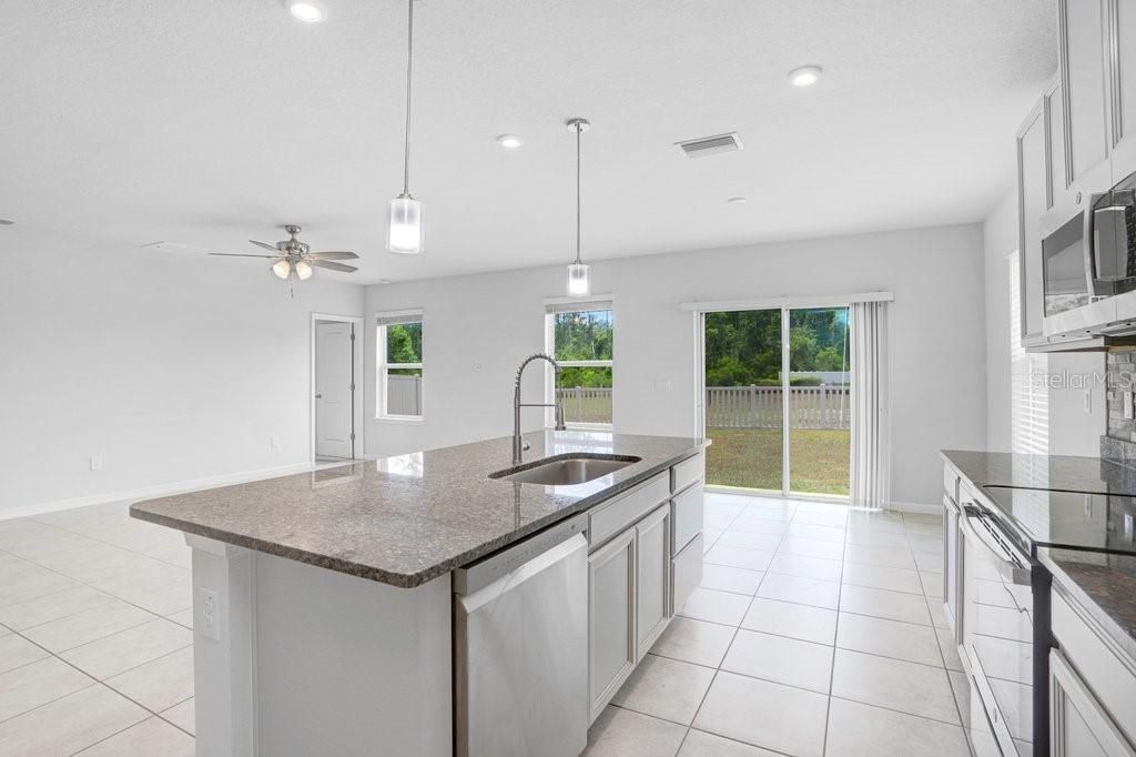 10677 Gliding Eagle Way, Land O Lakes, FL 34638 Photo