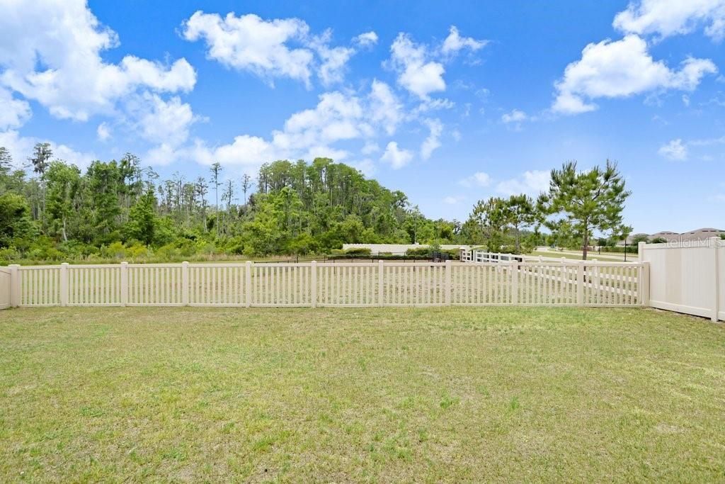 10677 Gliding Eagle Way, Land O Lakes, FL 34638 Photo
