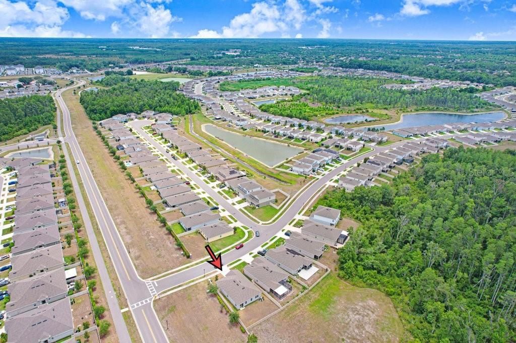 10677 Gliding Eagle Way, Land O Lakes, FL 34638 Photo