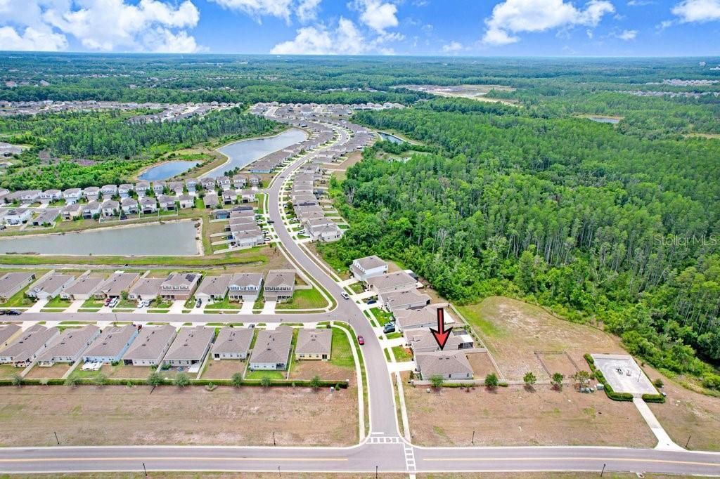 10677 Gliding Eagle Way, Land O Lakes, FL 34638 Photo