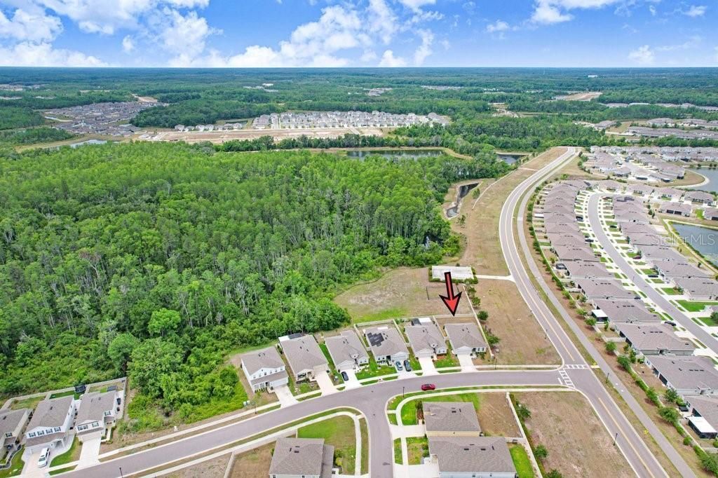 10677 Gliding Eagle Way, Land O Lakes, FL 34638 Photo