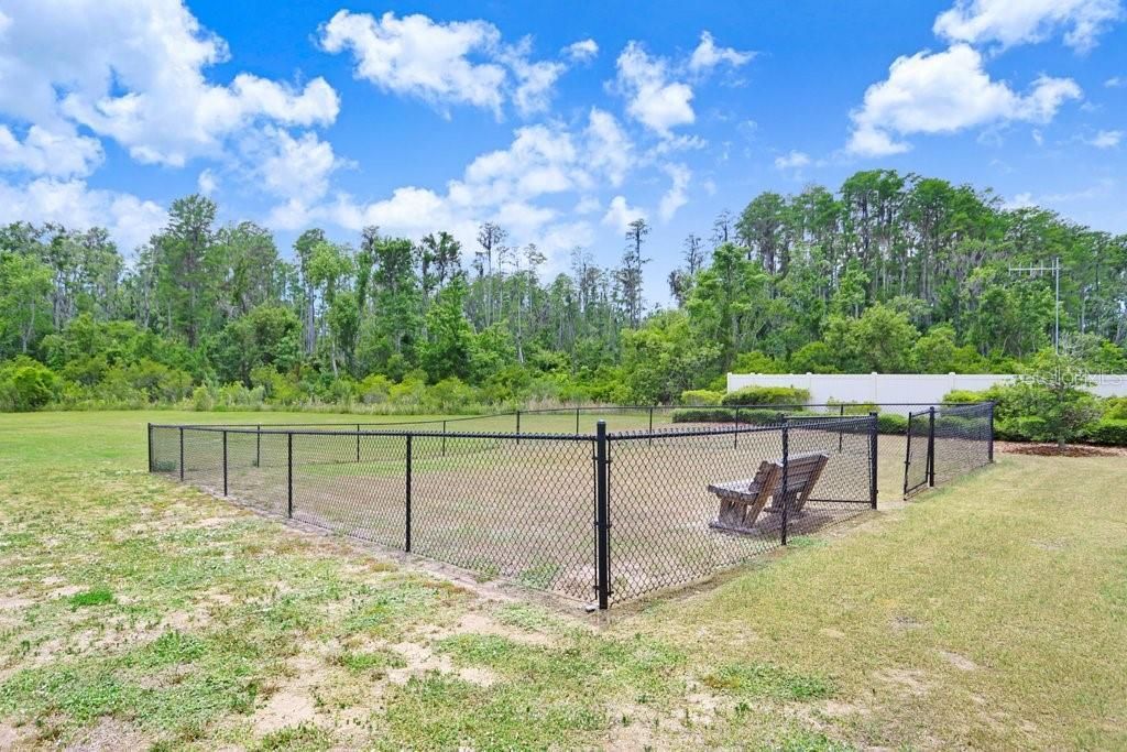 10677 Gliding Eagle Way, Land O Lakes, FL 34638 Photo