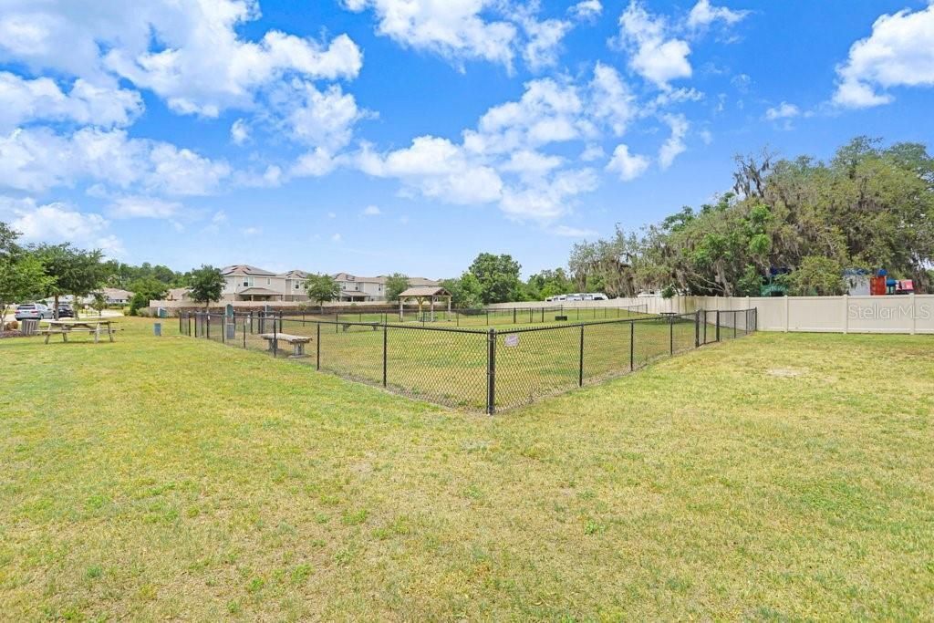 10677 Gliding Eagle Way, Land O Lakes, FL 34638 Photo