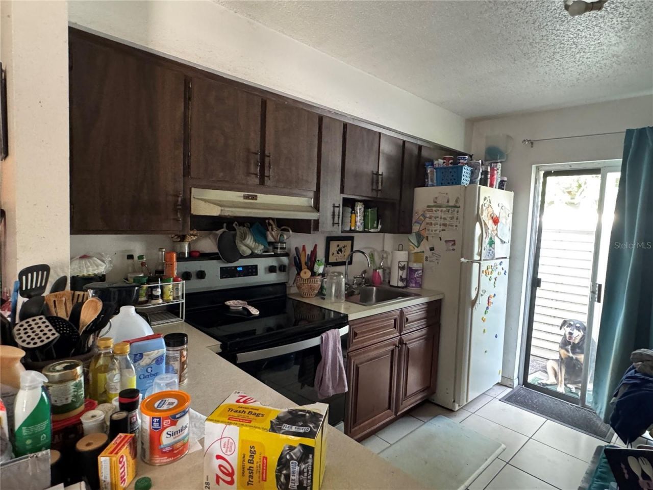 207 E Buchanon Avenue, Orlando, FL 32809 Photo