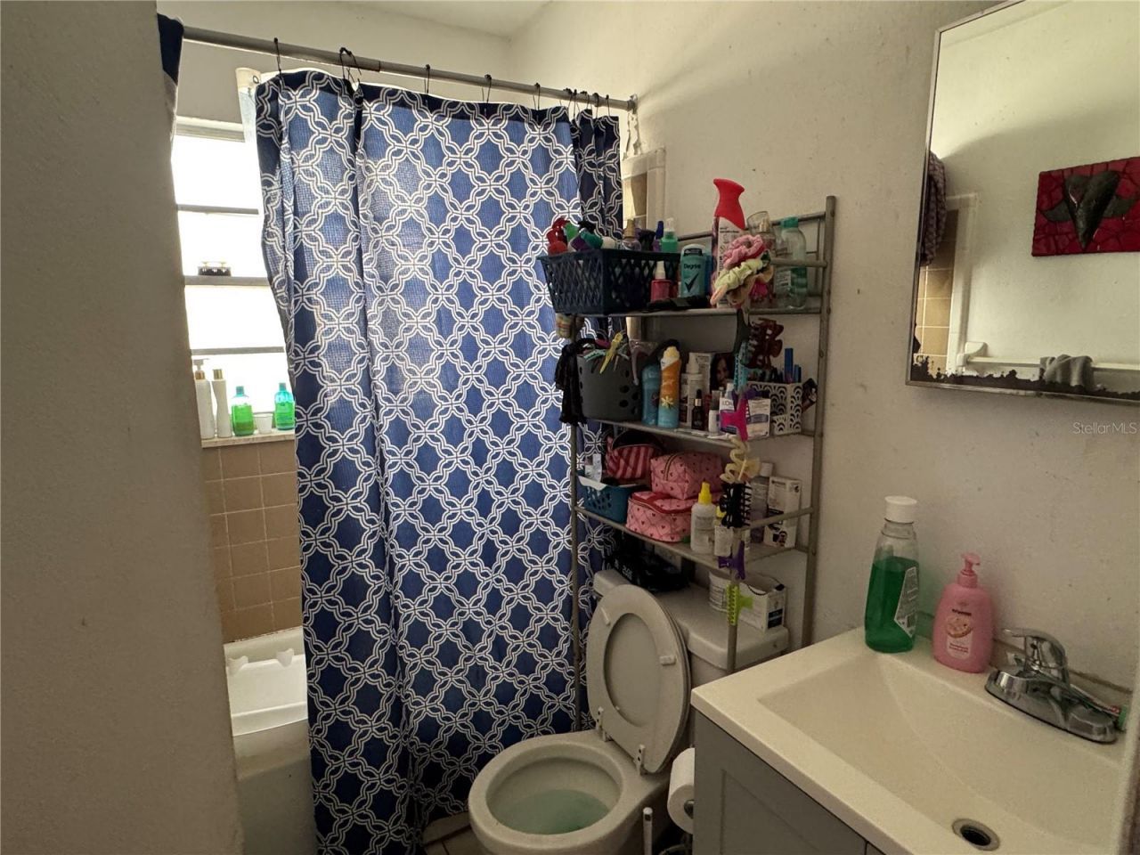 207 E Buchanon Avenue, Orlando, FL 32809 Photo
