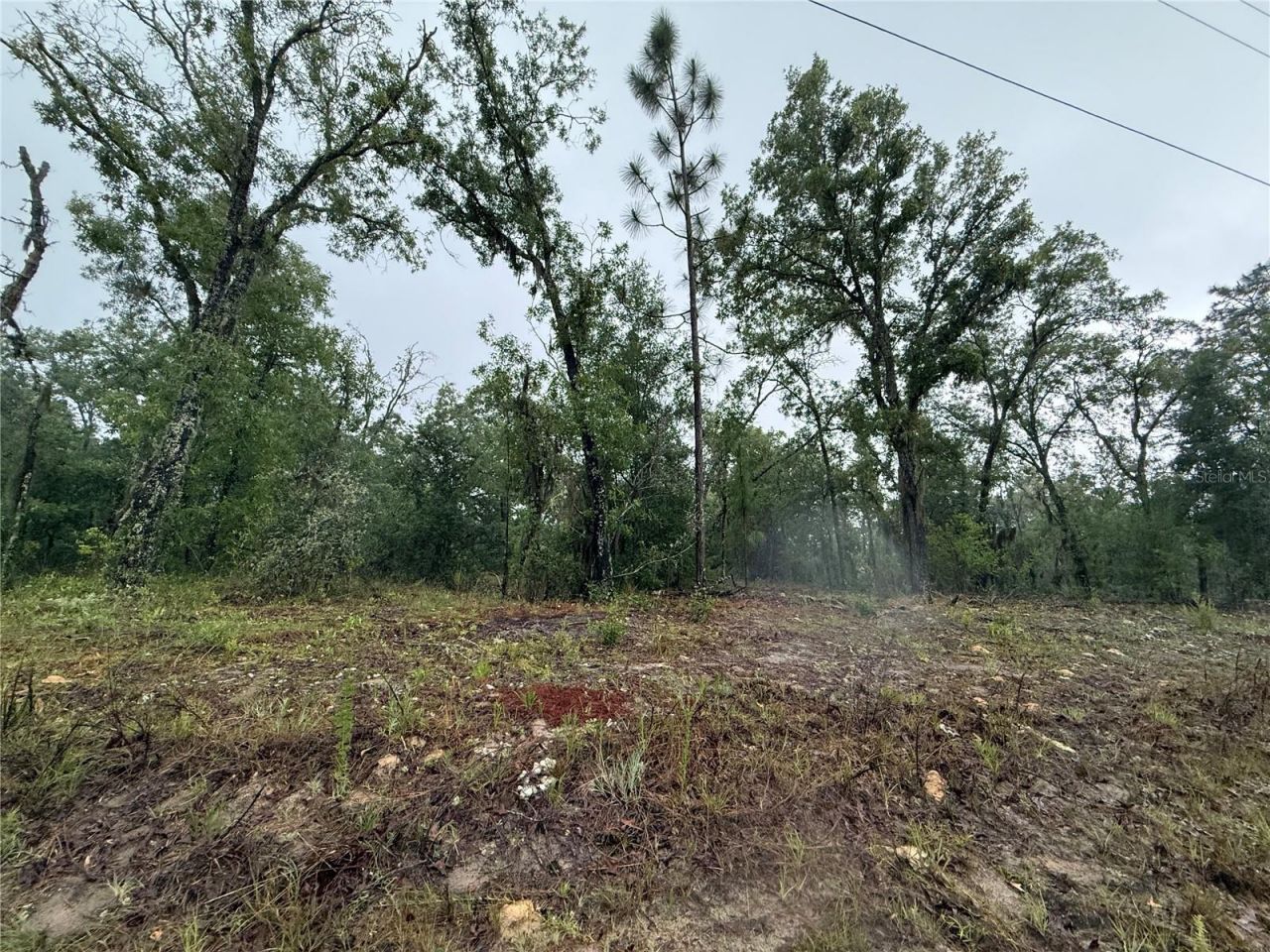 1900 W Magenta Drive, Dunnellon, FL 34434 Photo