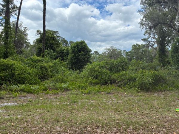 00 SE 87 STREET , OCKLAWAHA, FL 32179