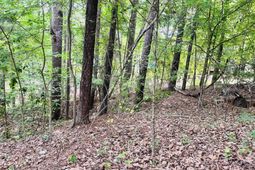 Tbd Lake Drive photo 4