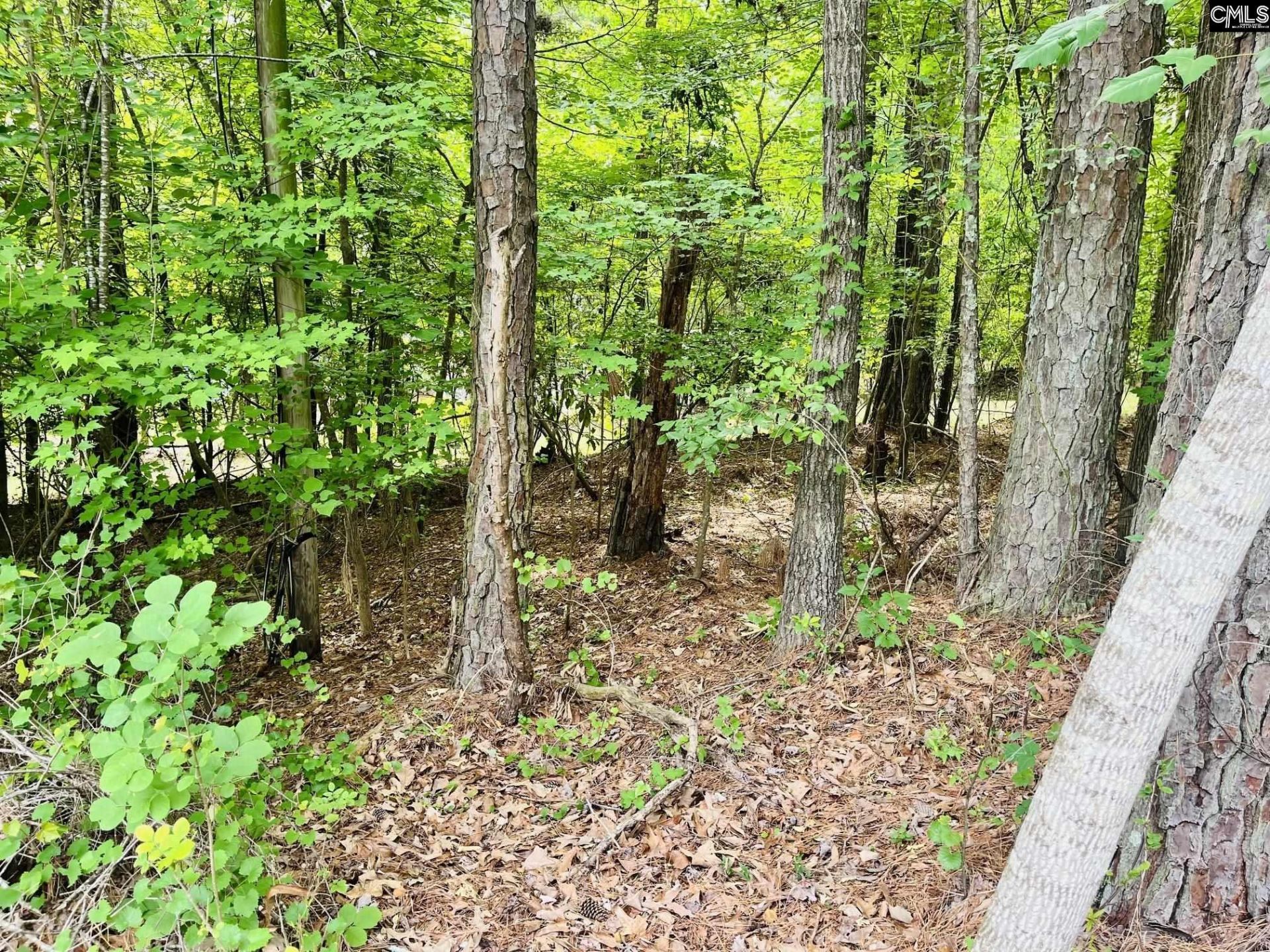 Tbd Lake Drive Photo 4