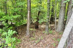Tbd Lake Drive photo 4
