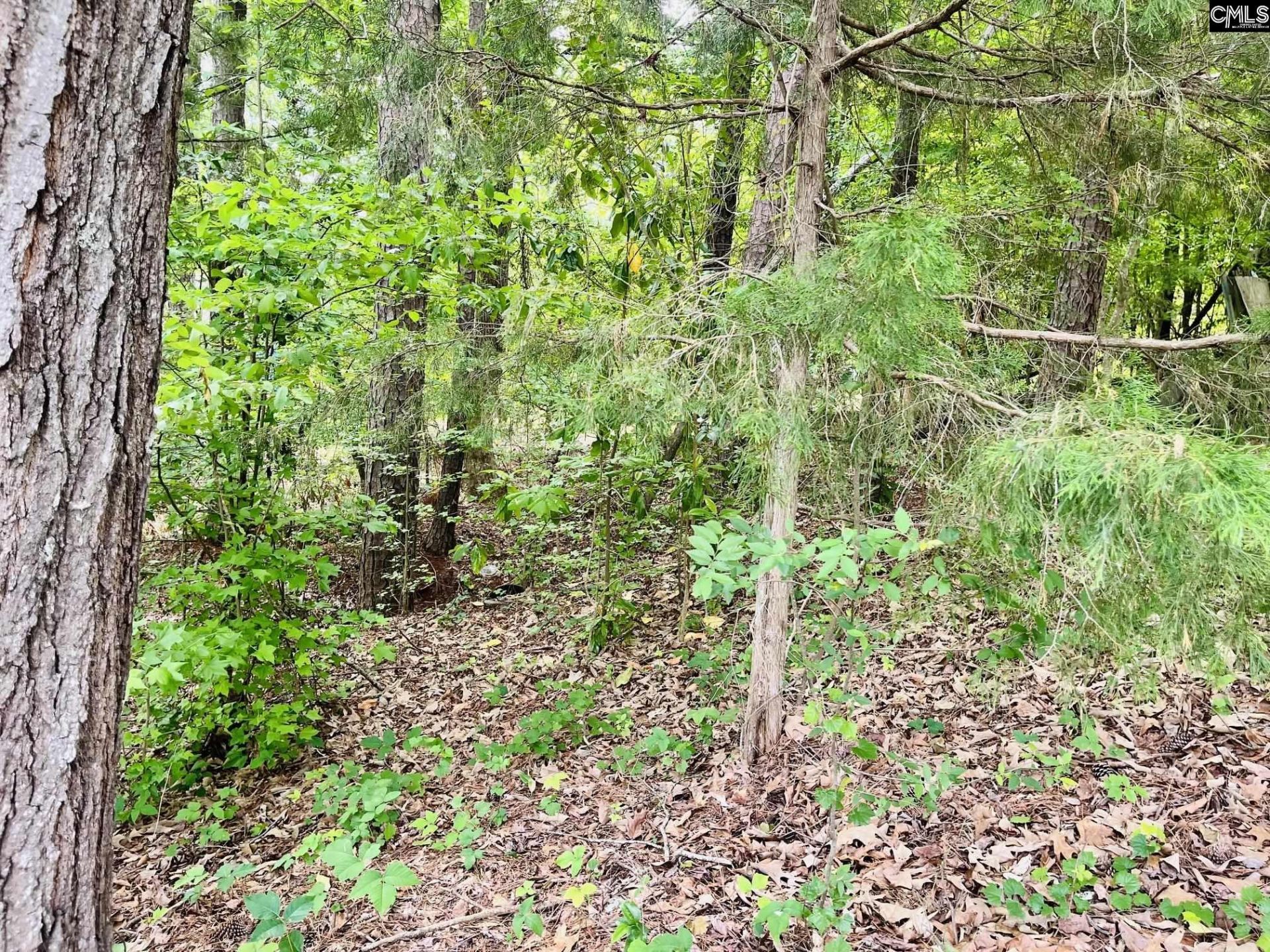 Tbd Lake Drive Photo 5