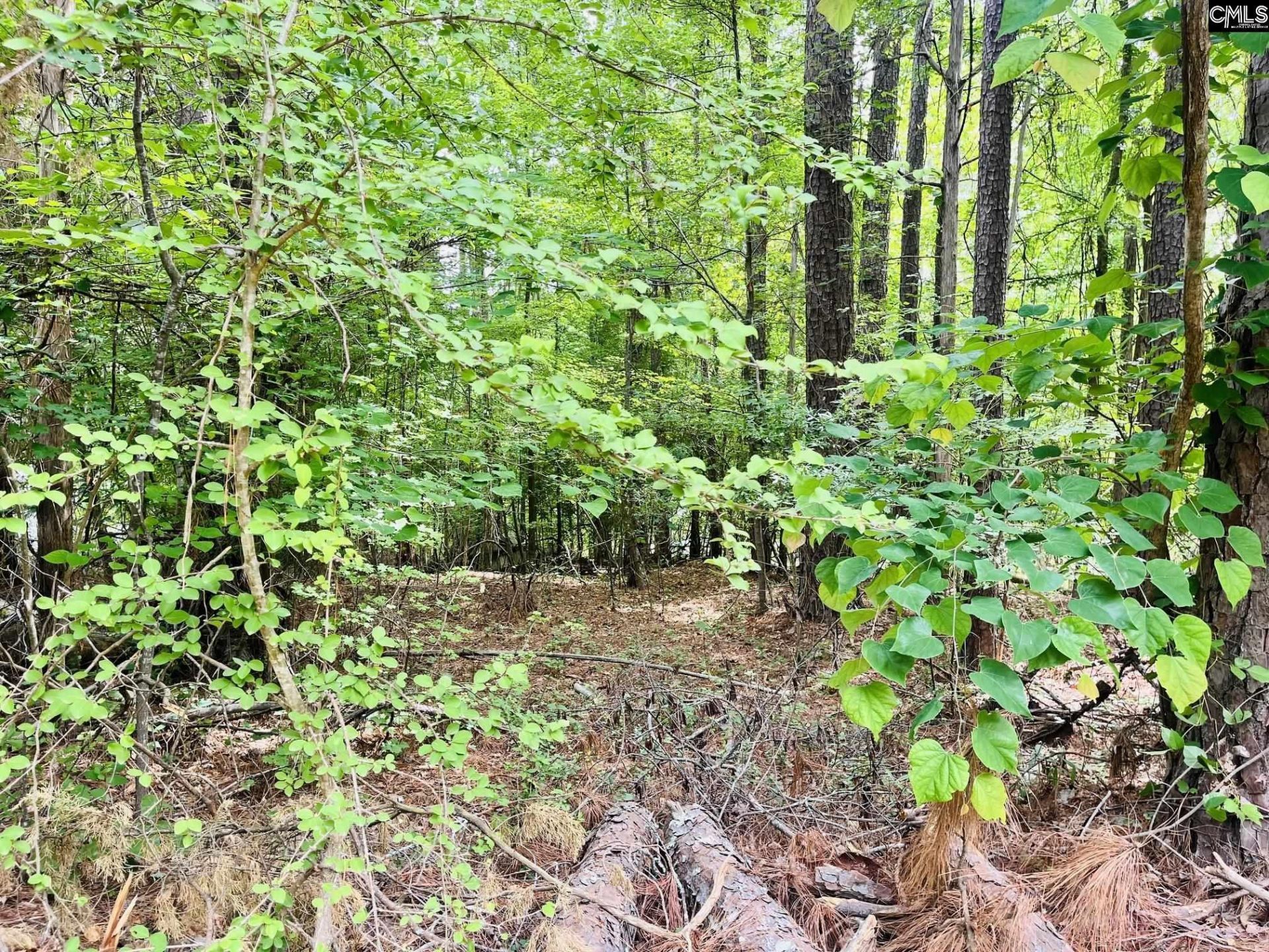 Tbd Lake Drive Photo 6