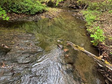 0 James River Road, Appomattox, VA 24522