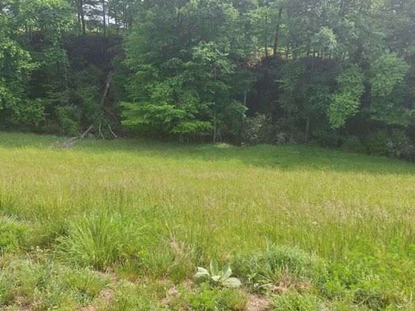 LOT 67 Hillside Court, Morganton, GA 30560
