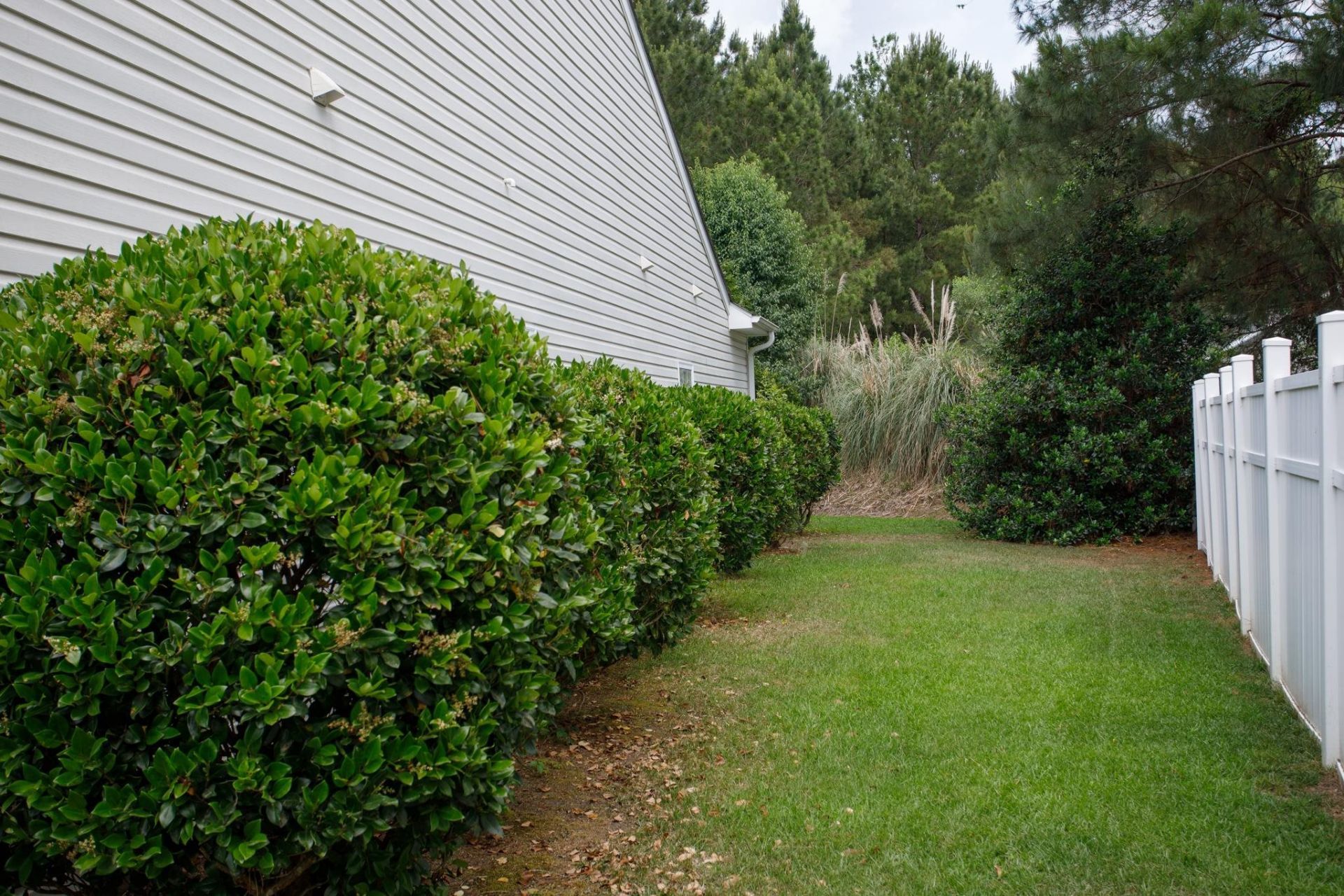 1416 Brighton Ave.  Photo 37