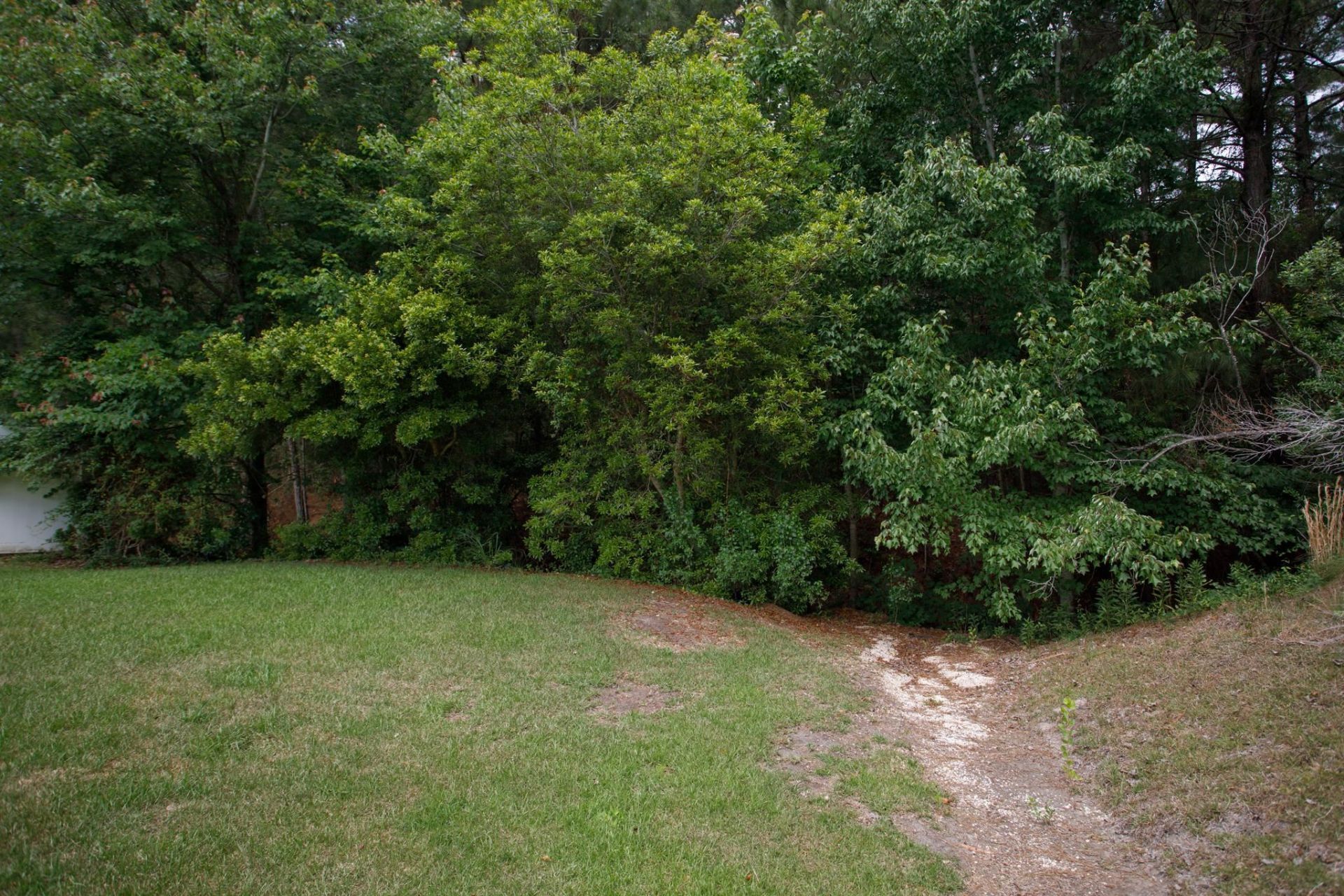 1416 Brighton Ave.  Photo 39