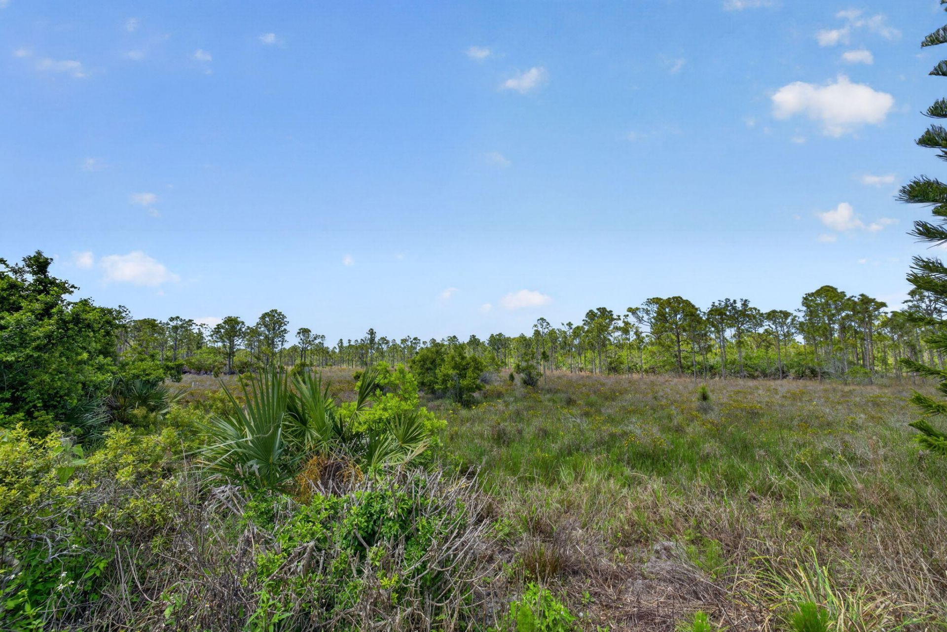2820 Eagle's Nest Way, Port Saint Lucie, FL 34952 Photo