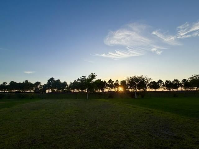 881 Wandering Willow Way, The Acreage, FL 33470 Photo