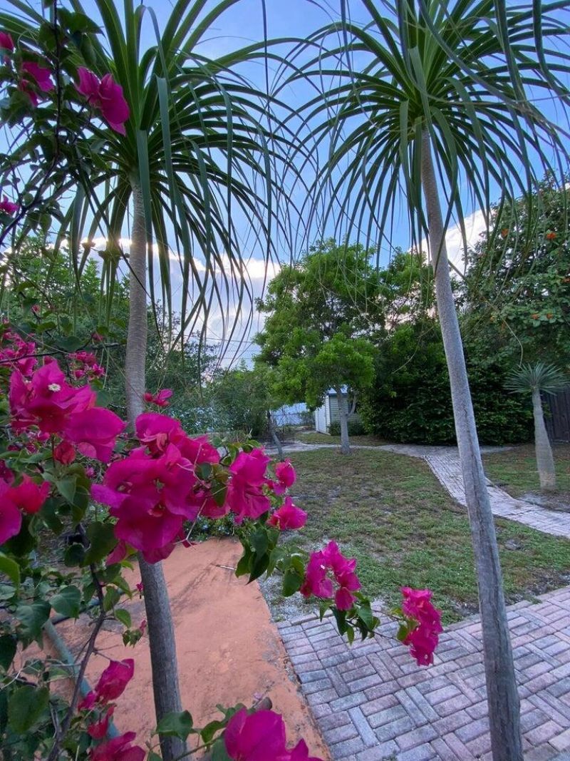 1209 N M Street, Lake Worth Beach, FL 33460 Photo