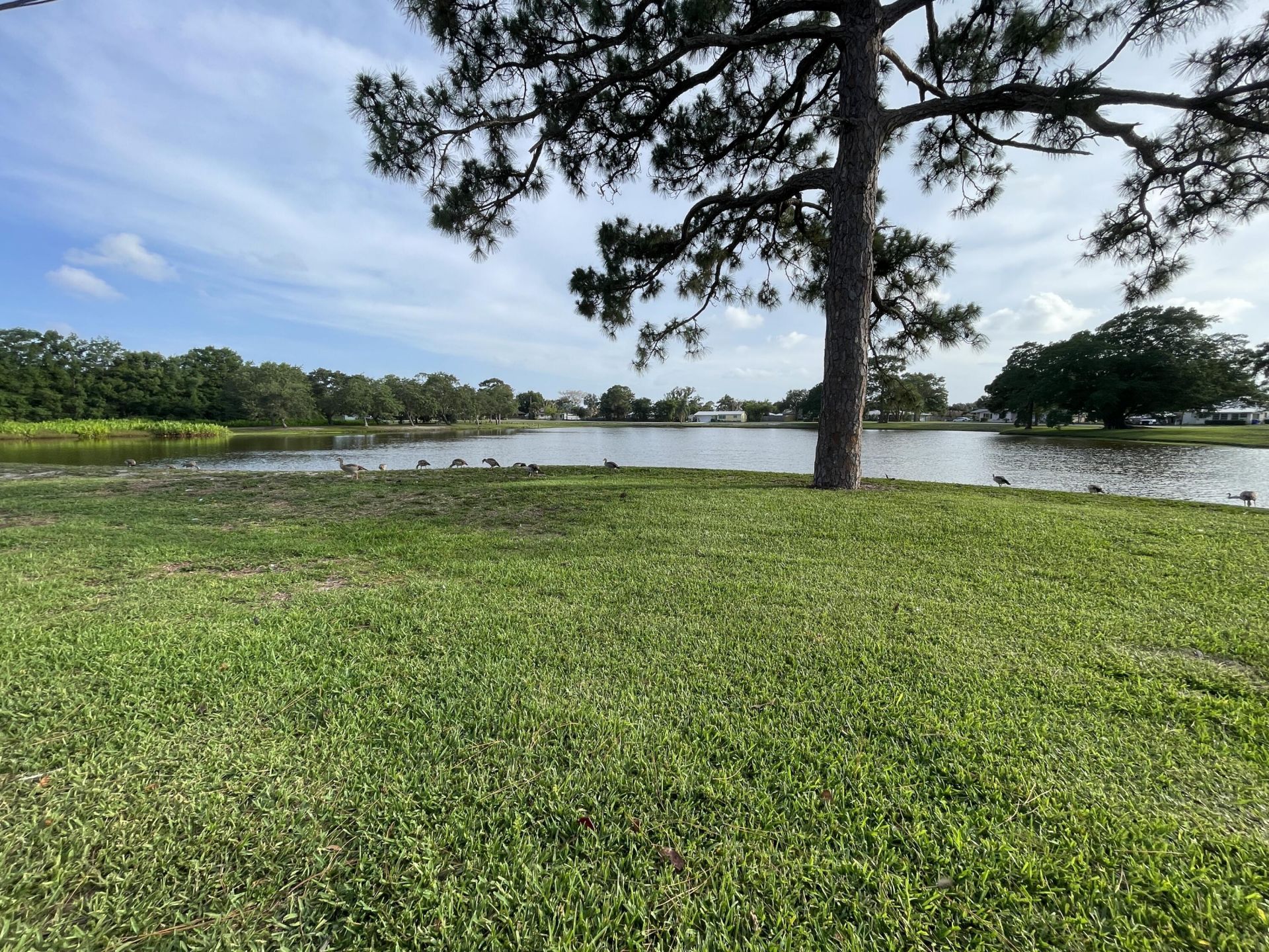 1566 NW 9th Avenue, Stuart, FL 34994 Photo