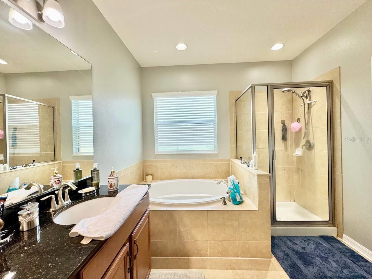 5105 Oakline View Drive , Lithia, FL 33547 Photo