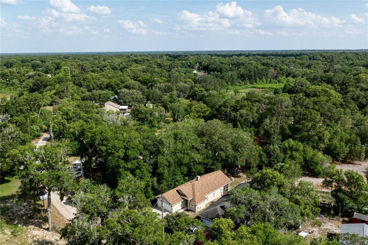 31080 Lochmore Circle , Sorrento, FL 32776 Photo